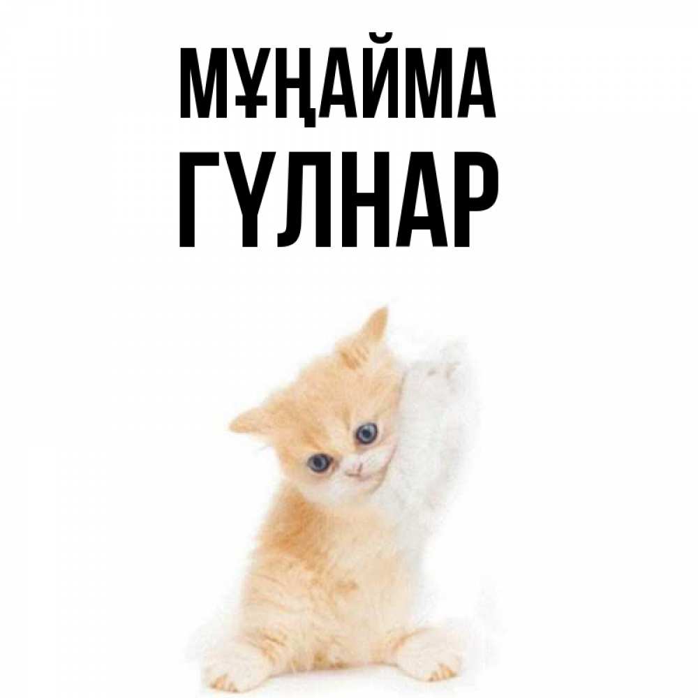Күн сайын ашық хат с именем, ГҮЛНАР Мұңайма просящий кот Онлайн тегін жүктеп алу тілектері бар керемет карта 