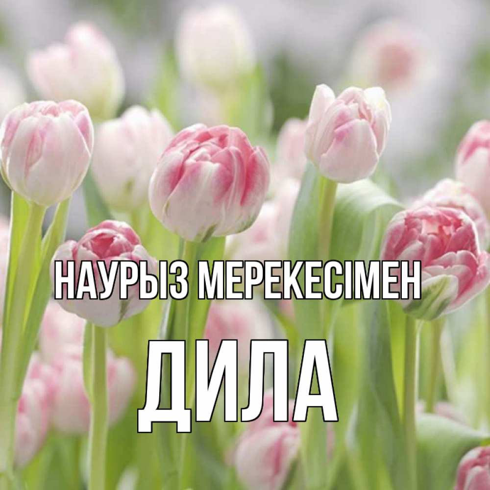 Күн сайын ашық хат с именем, ДИЛА Наурыз мерекесімен цветы Онлайн тегін жүктеп алу тілектері бар керемет карта 