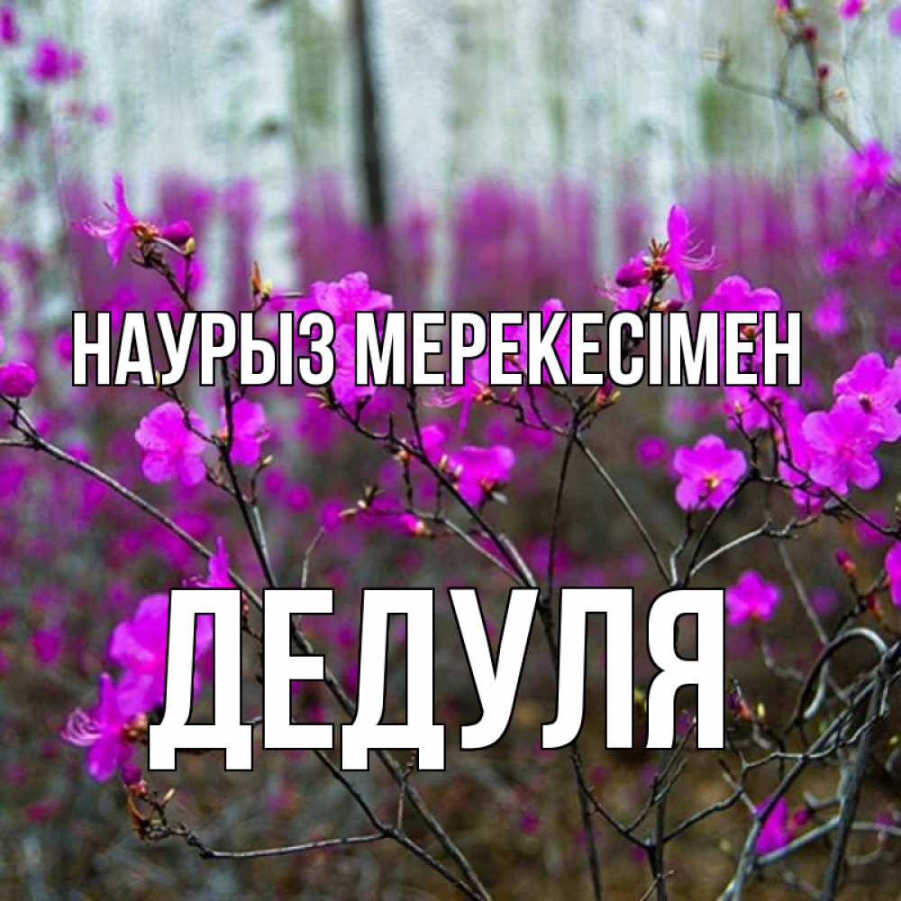 Күн сайын ашық хат с именем, Дедуля Наурыз мерекесімен дикие цветы Онлайн тегін жүктеп алу тілектері бар керемет карта 
