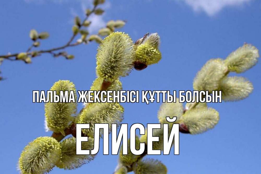 Күн сайын ашық хат с именем, Елисей Пальма жексенбісі құтты болсын верба Онлайн тегін жүктеп алу тілектері бар керемет карта 