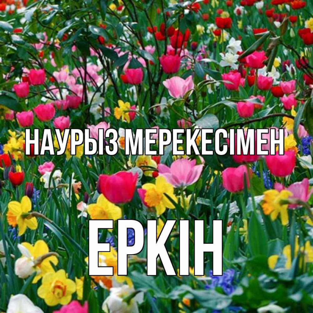 Күн сайын ашық хат с именем, Еркін Наурыз мерекесімен с наурызом праздником весны поздравления для женщины Онлайн тегін жүктеп алу тілектері бар керемет карта 