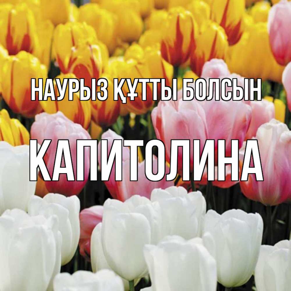 Күн сайын ашық хат с именем, Капитолина Наурыз құтты болсын разноцветные цветы Онлайн тегін жүктеп алу тілектері бар керемет карта 