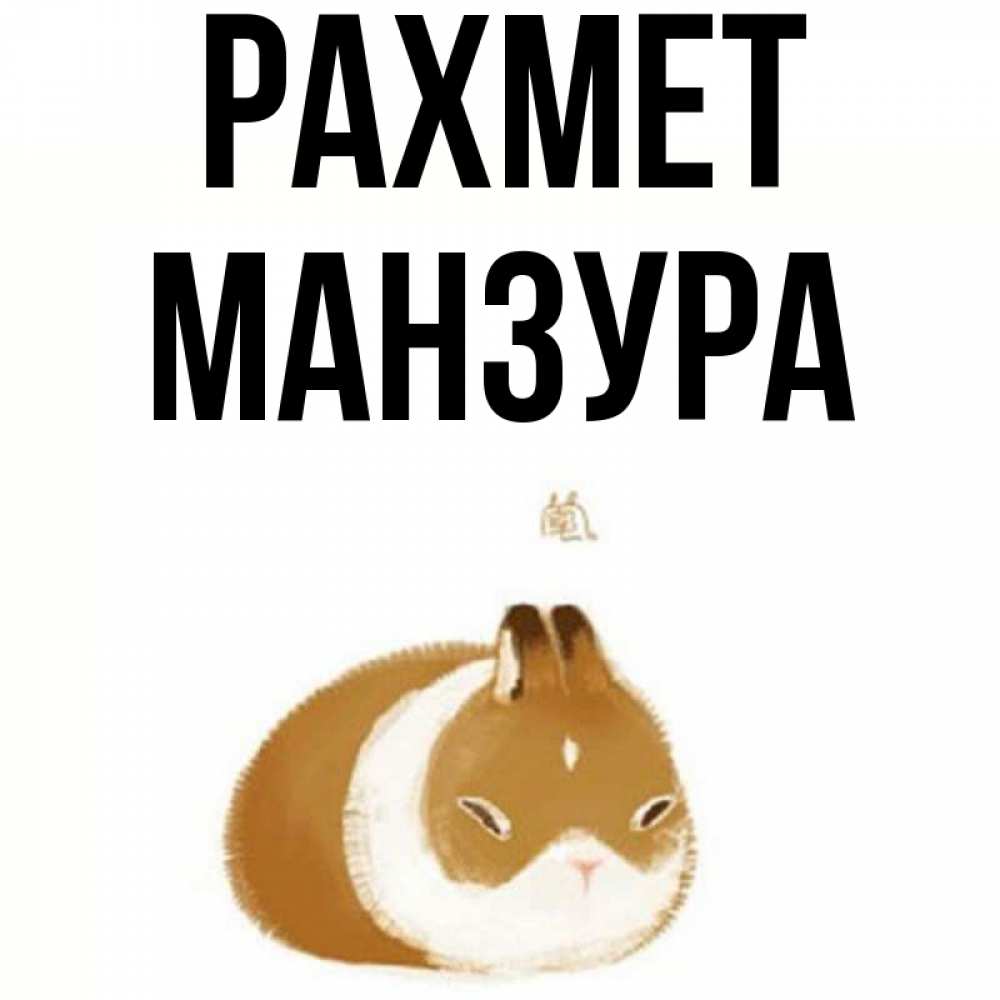 Күн сайын ашық хат с именем, МАНЗУРА рахмет коричнево белый домашний питомец Онлайн тегін жүктеп алу тілектері бар керемет карта 