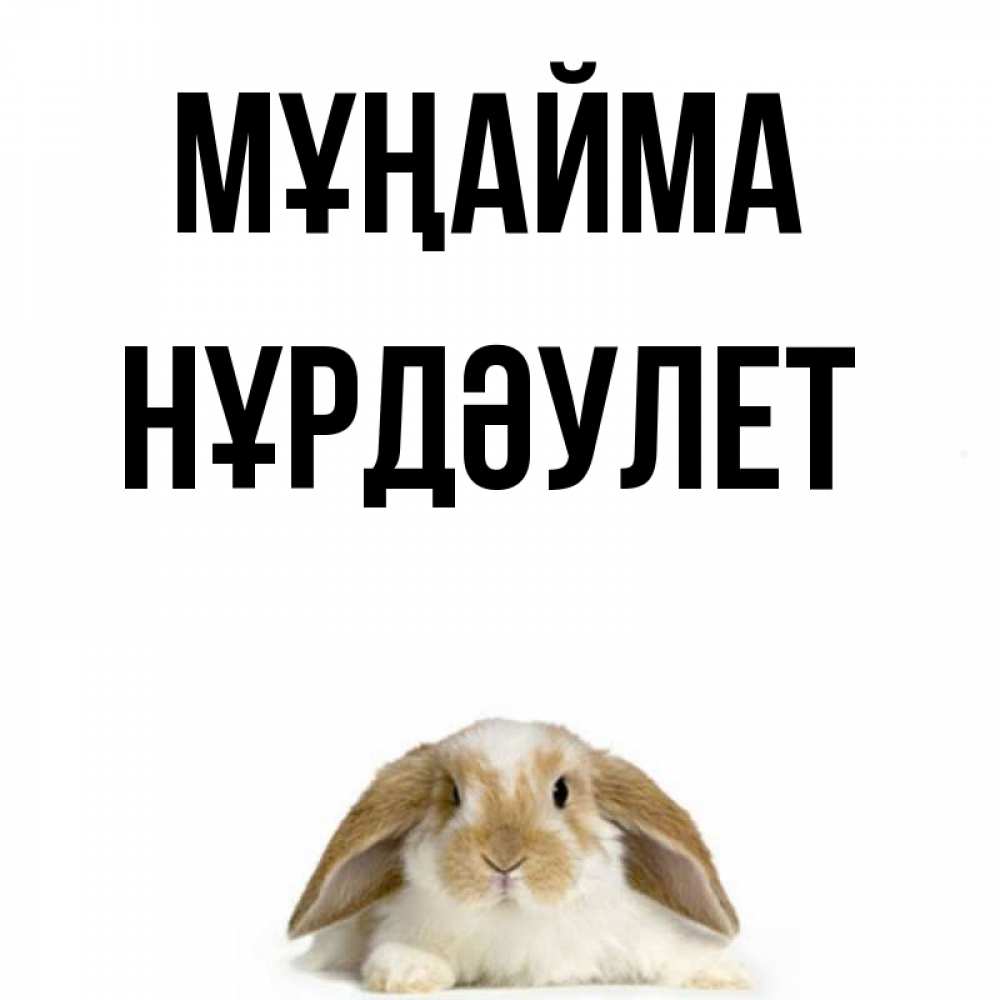 Күн сайын ашық хат с именем, НҰРДӘУЛЕТ Мұңайма коричнево белый заяц с большими ушками Онлайн тегін жүктеп алу тілектері бар керемет карта 