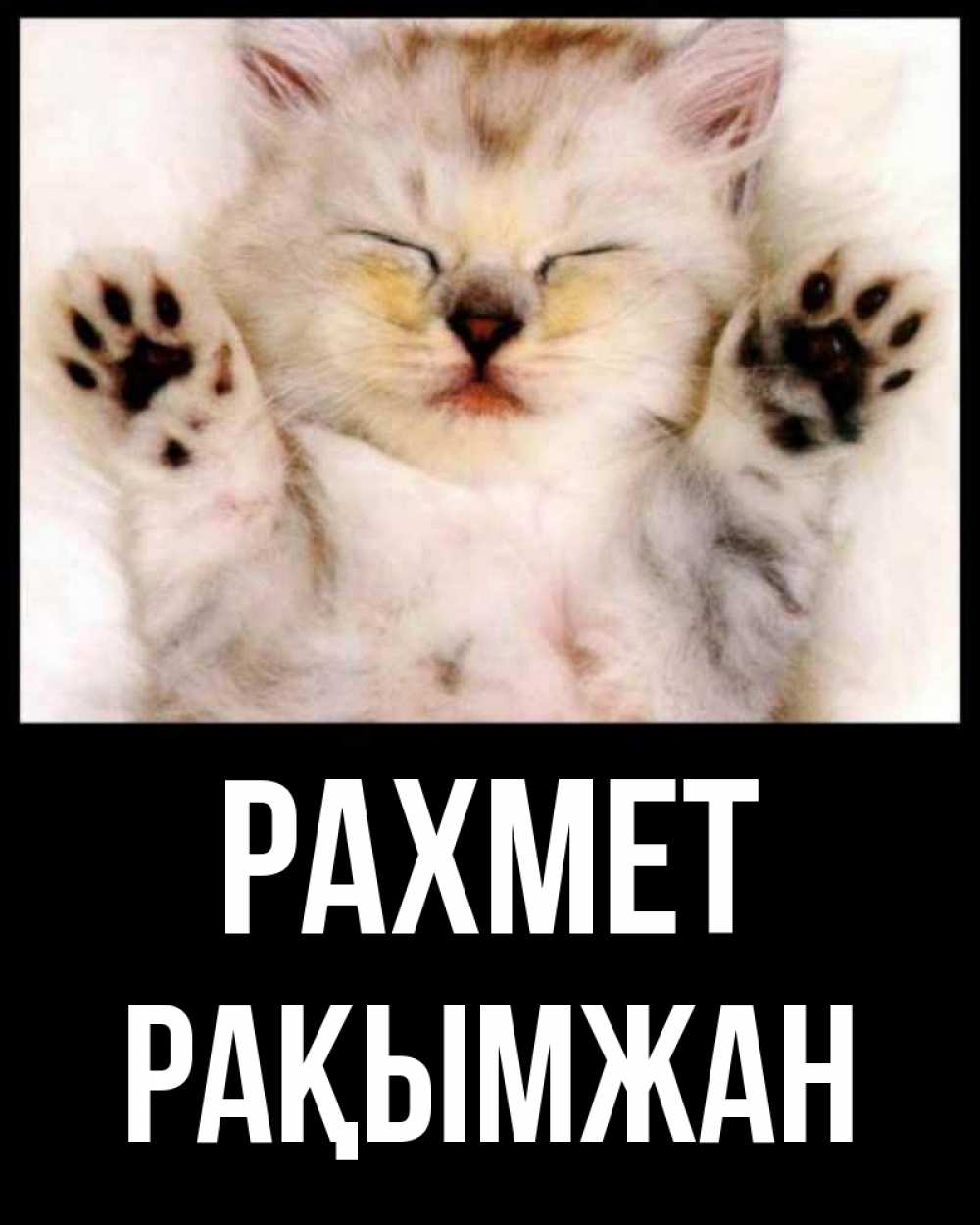 Күн сайын ашық хат с именем, Рақымжан рахмет маленький котенок Онлайн тегін жүктеп алу тілектері бар керемет карта 