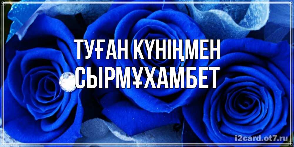 Күн сайын ашық хат с именем, СЫРМҰХАМБЕТ Туған күніңмен синие розы в росе Онлайн тегін жүктеп алу тілектері бар керемет карта 