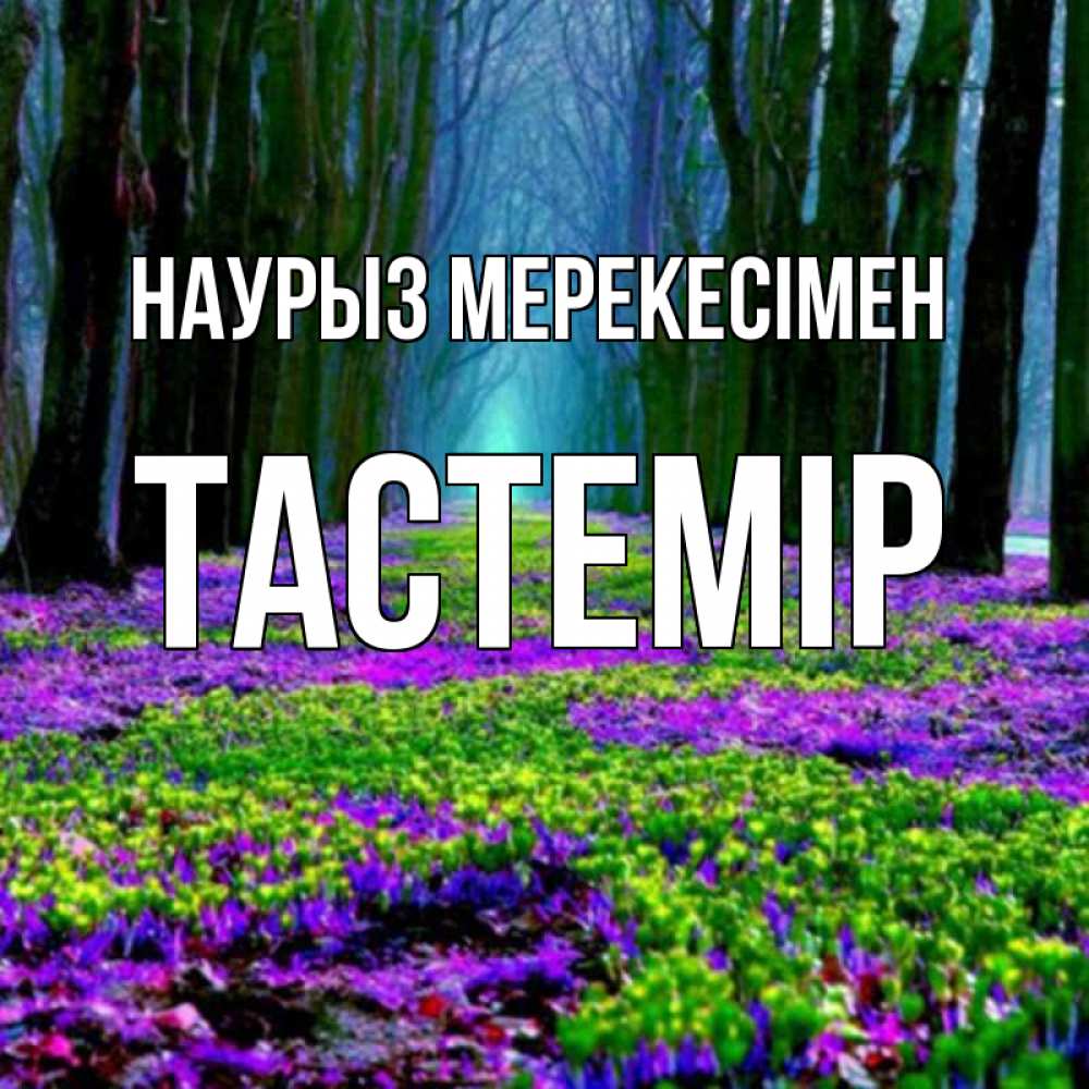 Күн сайын ашық хат с именем, ТАСТЕМІР Наурыз мерекесімен фиолетовые цветы в лесу 1 Онлайн тегін жүктеп алу тілектері бар керемет карта 