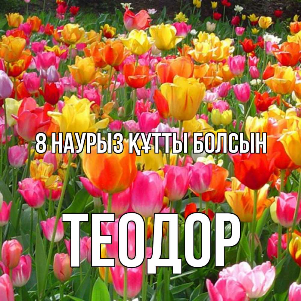 Күн сайын ашық хат с именем, Теодор 8 наурыз құтты болсын на международный женский день Онлайн тегін жүктеп алу тілектері бар керемет карта 