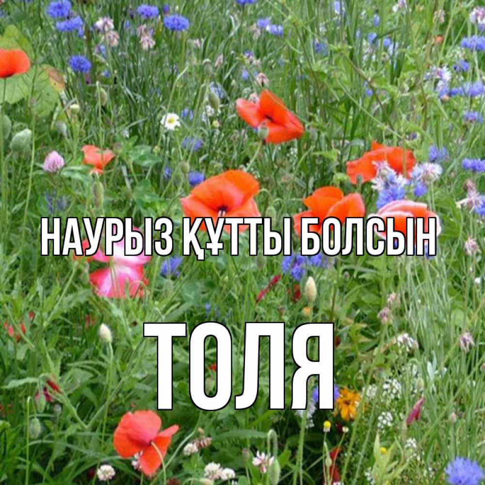 Күн сайын ашық хат с именем, Толя Наурыз құтты болсын наурыз  4 Онлайн тегін жүктеп алу тілектері бар керемет карта 