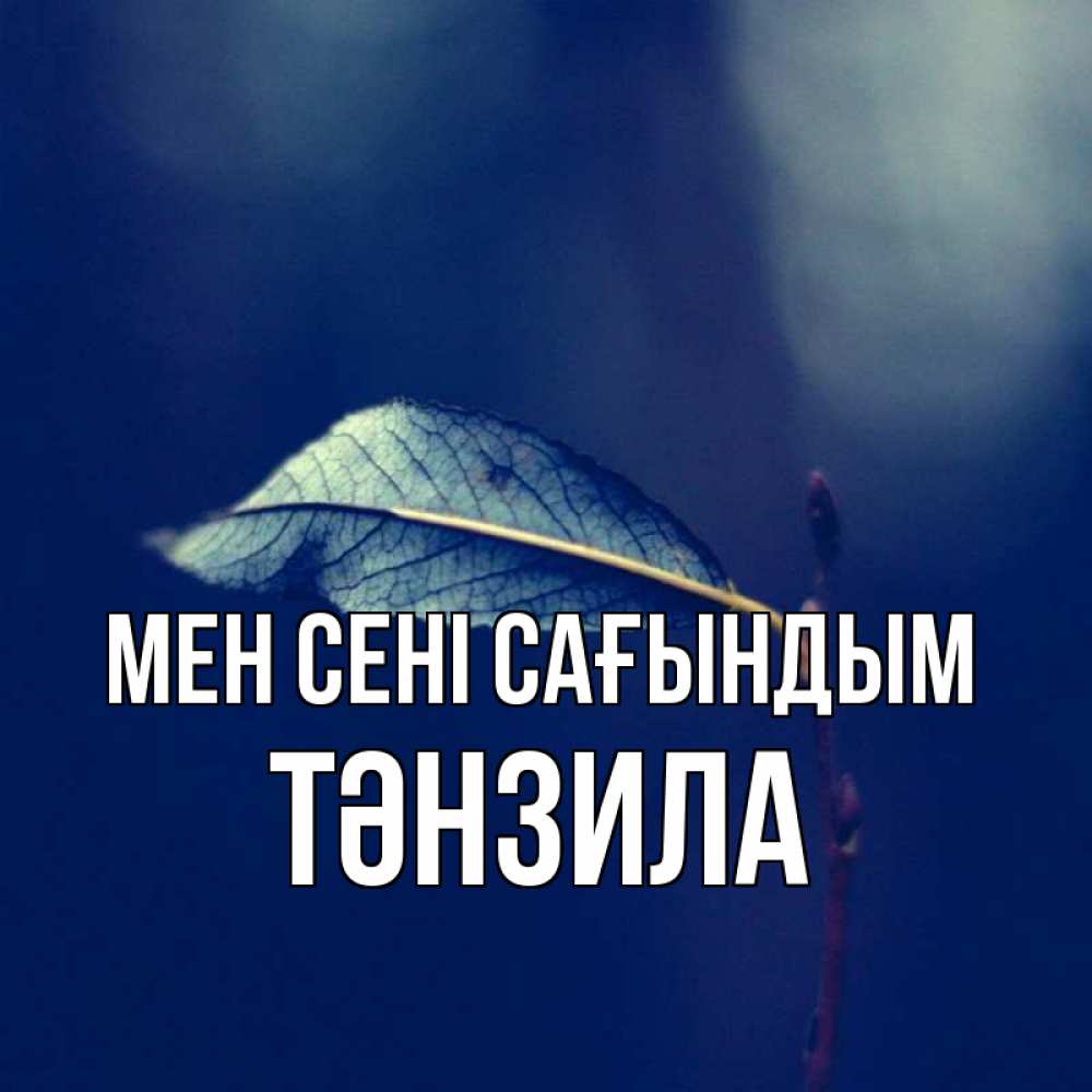 Күн сайын ашық хат с именем, ТӘНЗИЛА Мен сені сағындым одна ветка 1 Онлайн тегін жүктеп алу тілектері бар керемет карта 