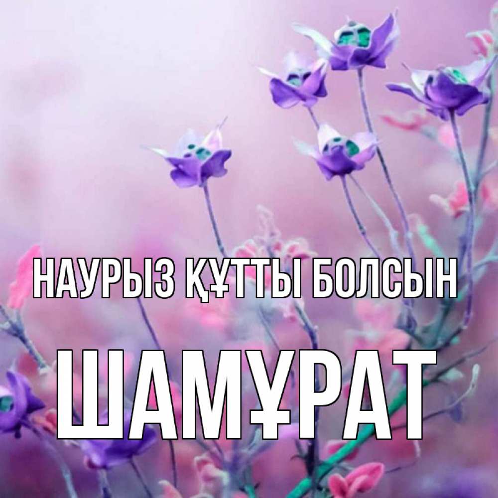 Күн сайын ашық хат с именем, ШАМҰРАТ Наурыз құтты болсын наурыз  2 Онлайн тегін жүктеп алу тілектері бар керемет карта 