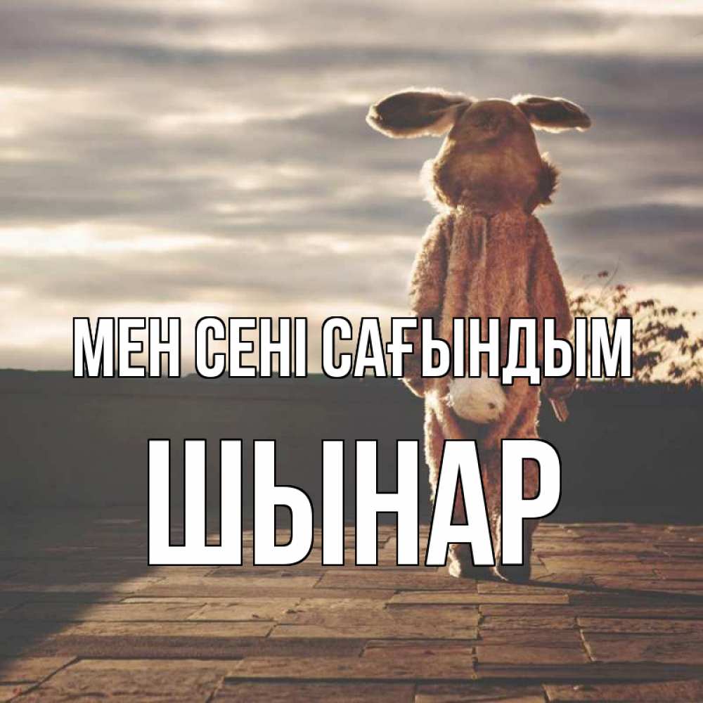 Күн сайын ашық хат с именем, ШЫНАР Мен сені сағындым даже в костюме зайца Онлайн тегін жүктеп алу тілектері бар керемет карта 