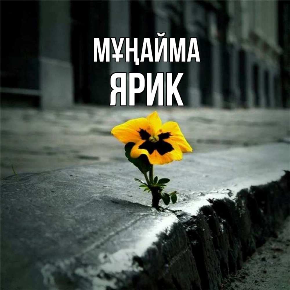 Күн сайын ашық хат с именем, Ярик Мұңайма не сдавайся Онлайн тегін жүктеп алу тілектері бар керемет карта 