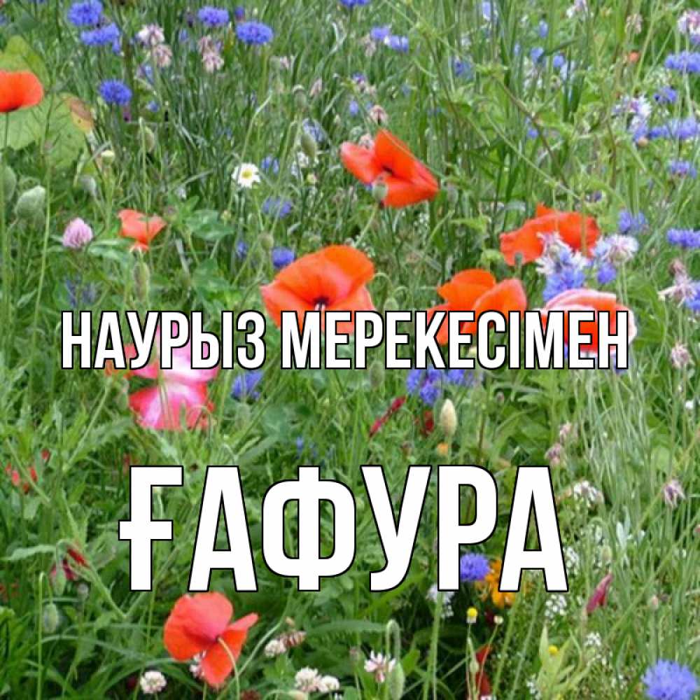 Күн сайын ашық хат с именем, ҒАФУРА Наурыз мерекесімен праздник весны наурыз супер открытка Онлайн тегін жүктеп алу тілектері бар керемет карта 