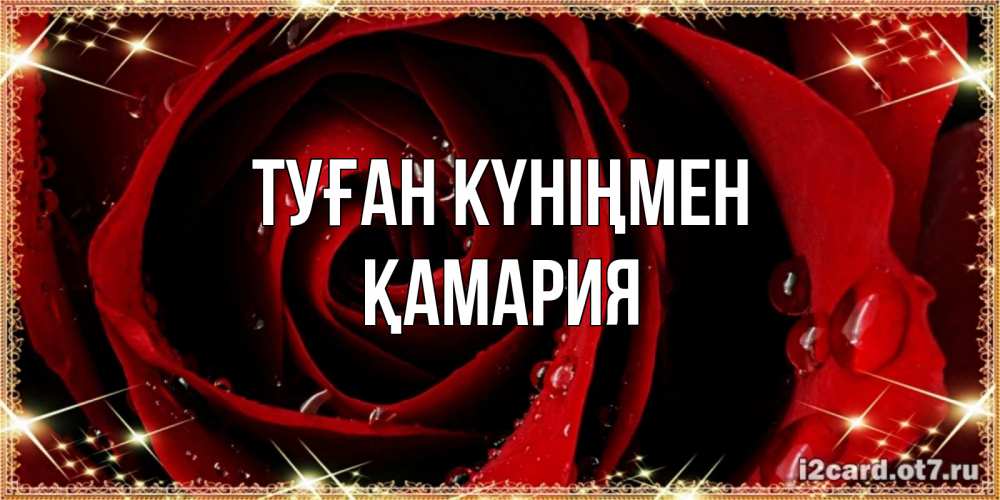 Күн сайын ашық хат с именем, ҚАМАРИЯ Туған күніңмен цветок в росе на день рождения Онлайн тегін жүктеп алу тілектері бар керемет карта 