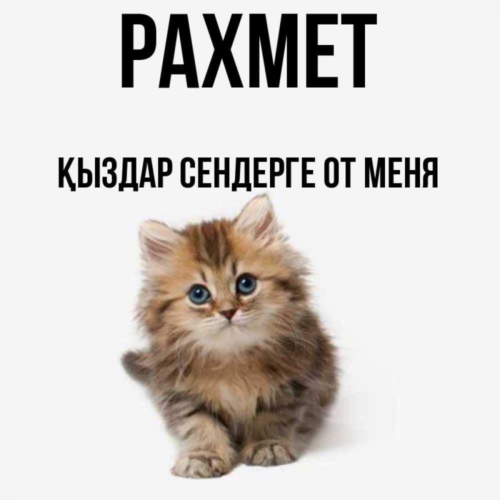 Ұйқысы бар әпкемен жыныстық қатынас