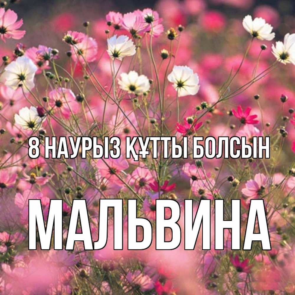 Күн сайын ашық хат с именем, Мальвина 8 наурыз құтты болсын красиво 1 Онлайн тегін жүктеп алу тілектері бар керемет карта 