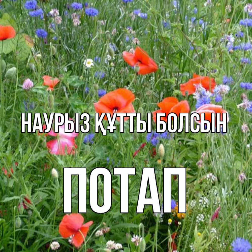 Күн сайын ашық хат с именем, Потап Наурыз құтты болсын наурыз  4 Онлайн тегін жүктеп алу тілектері бар керемет карта 