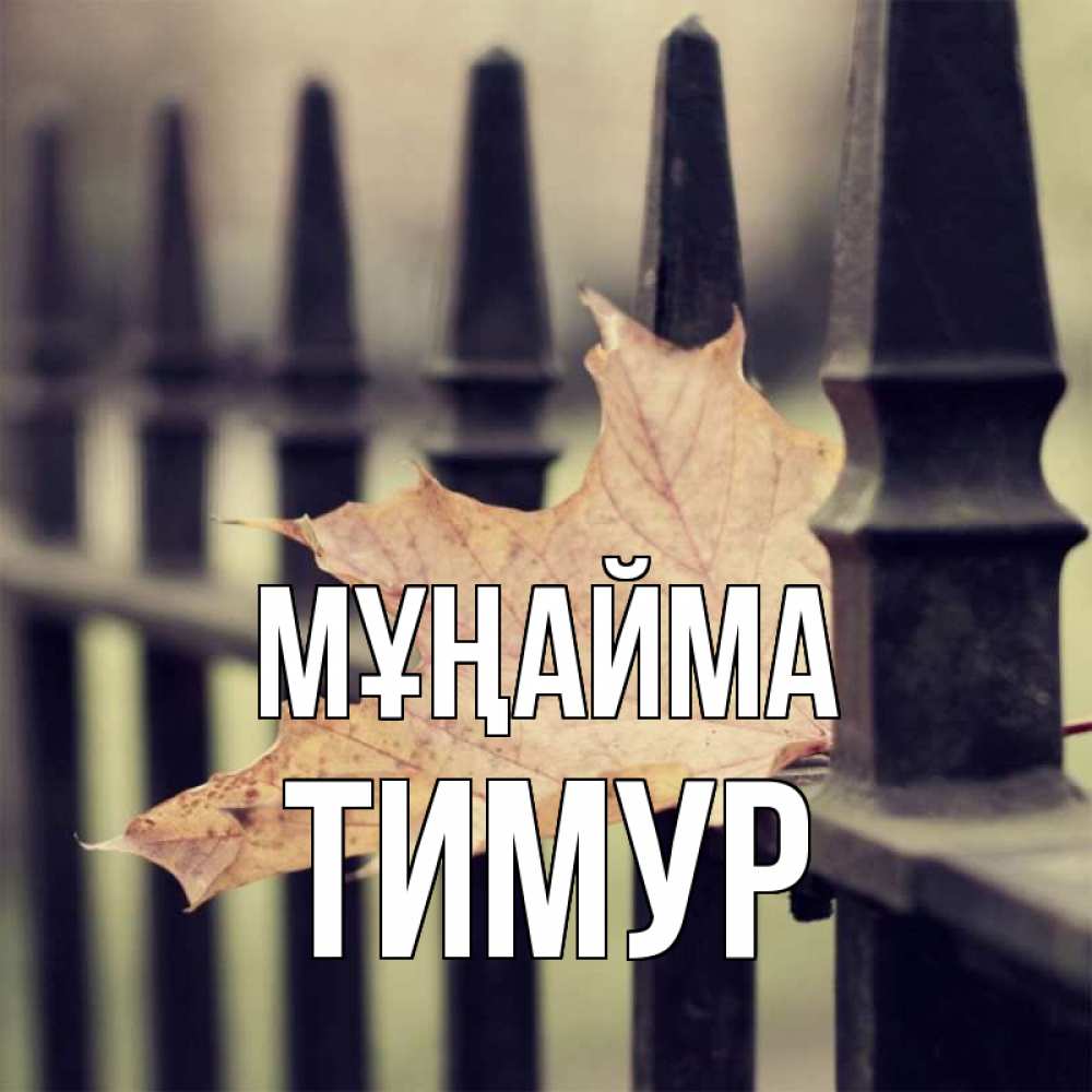 Күн сайын ашық хат с именем, Тимур Мұңайма лист клена Онлайн тегін жүктеп алу тілектері бар керемет карта 