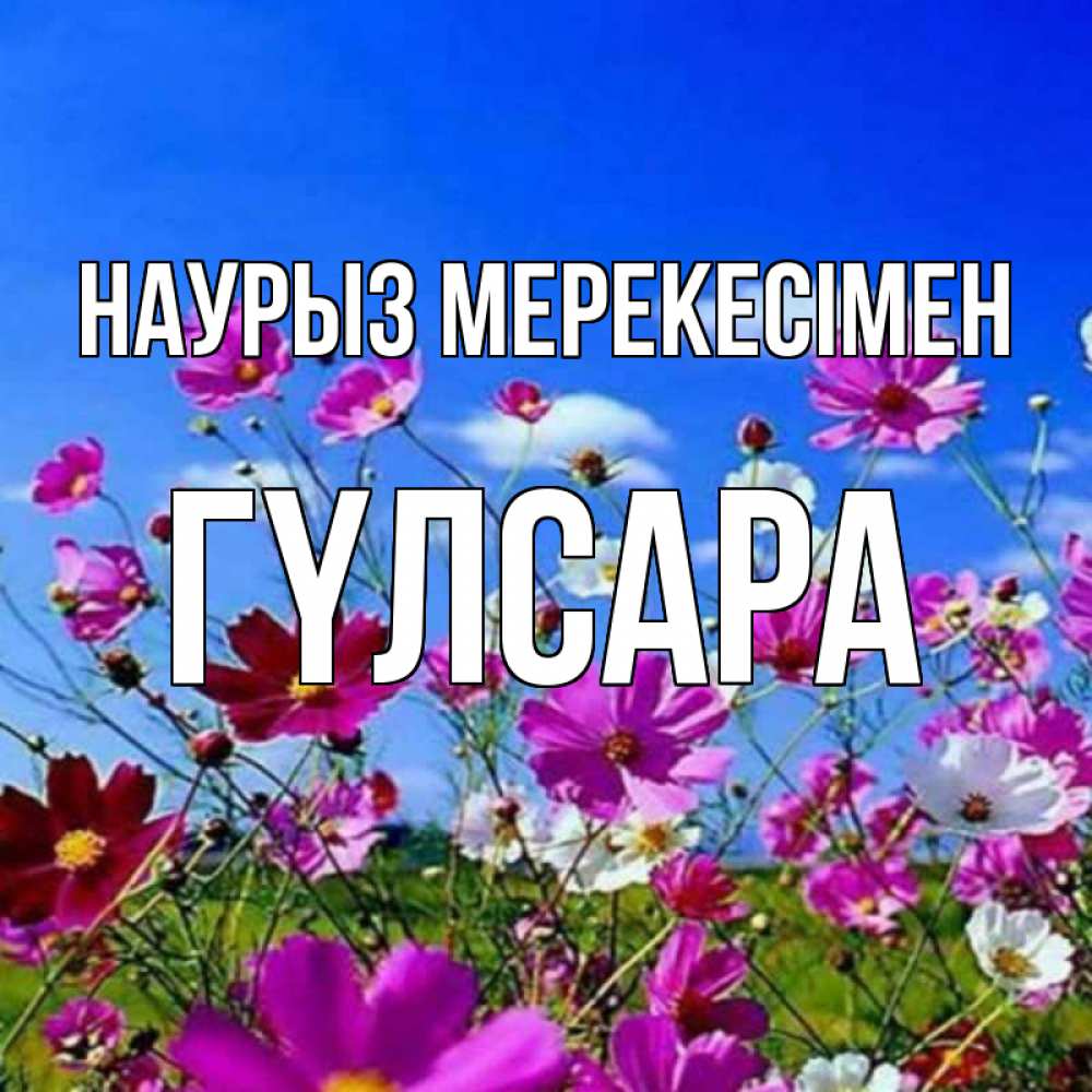 Күн сайын ашық хат с именем, ГҮЛСАРА Наурыз мерекесімен цветы Онлайн тегін жүктеп алу тілектері бар керемет карта 