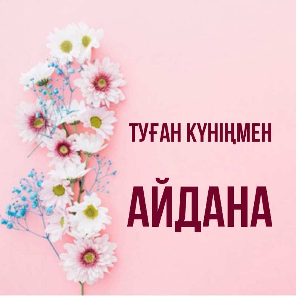 Күн сайын ашық хат с именем, АЙДАНА Туған күніңмен Родная моя с днем рождения тебя картинка с цветами белыми и голубыми Онлайн тегін жүктеп алу тілектері бар керемет карта 