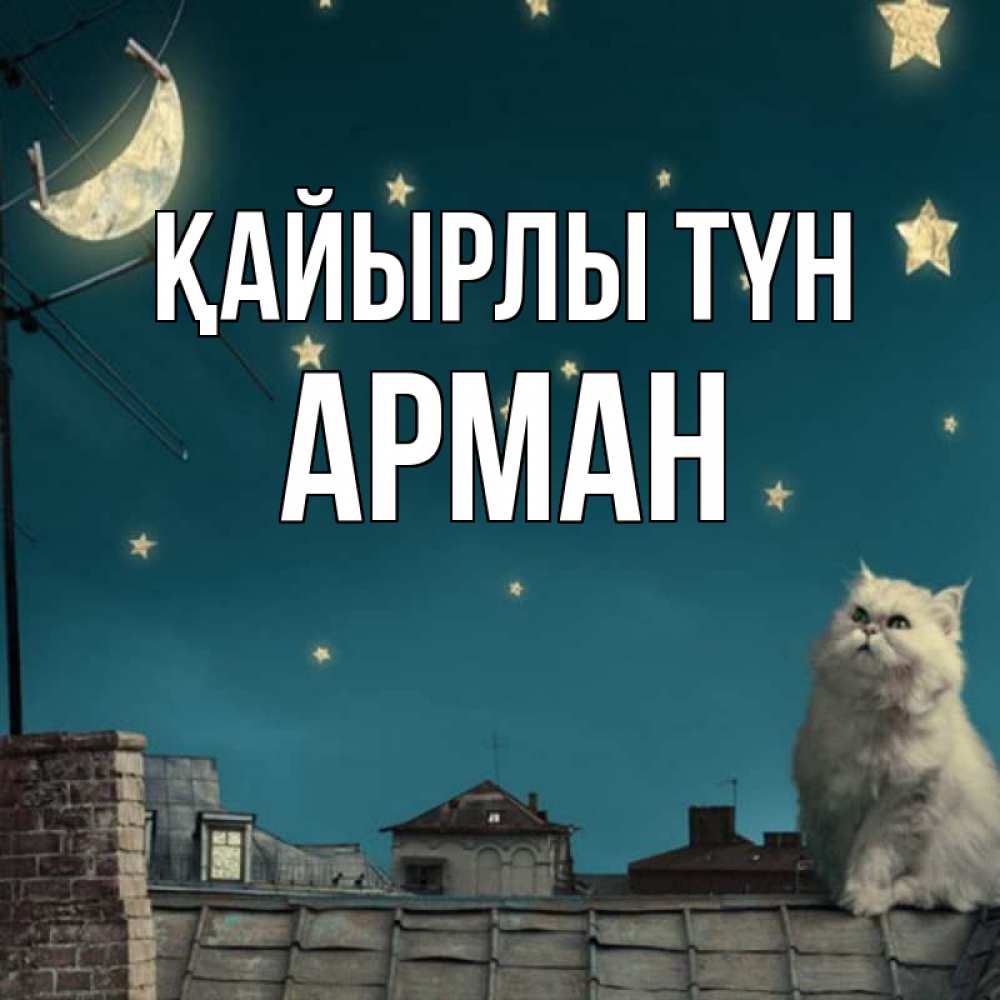 Күн сайын ашық хат с именем, Арман Қайырлы түн белый кот сидит на крыше Онлайн тегін жүктеп алу тілектері бар керемет карта 
