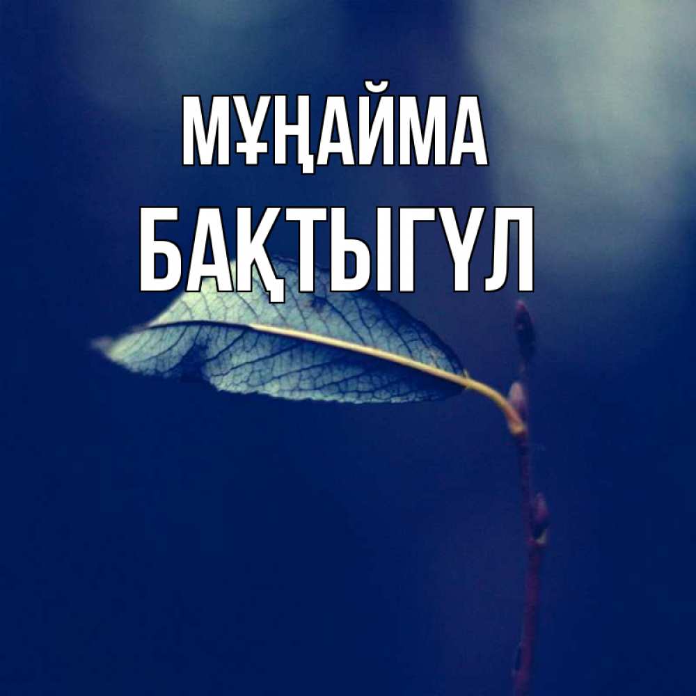 Күн сайын ашық хат с именем, БАҚТЫГҮЛ Мұңайма растение Онлайн тегін жүктеп алу тілектері бар керемет карта 