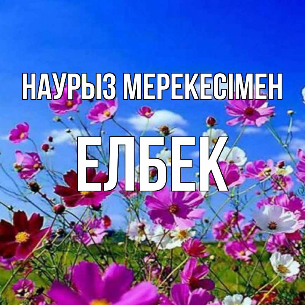 Күн сайын ашық хат с именем, Елбек Наурыз мерекесімен цветы Онлайн тегін жүктеп алу тілектері бар керемет карта 