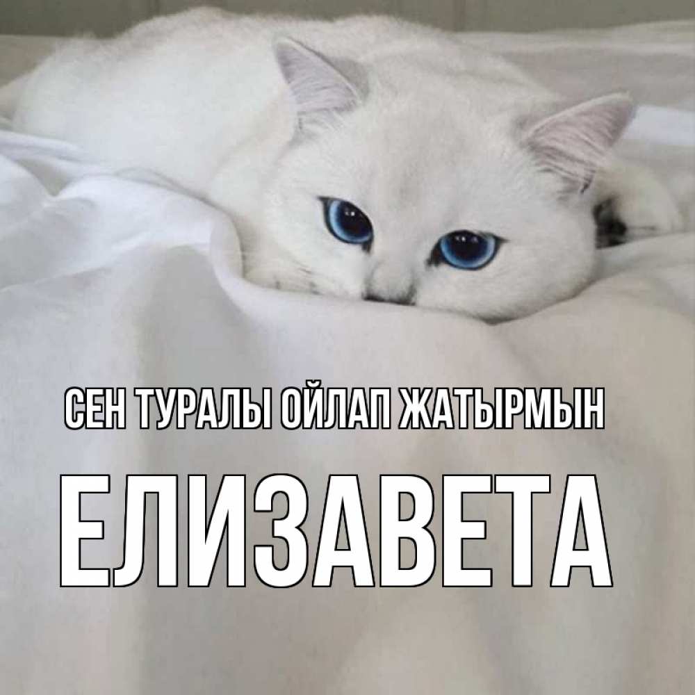 Күн сайын ашық хат с именем, Елизавета Сен туралы ойлап жатырмын я очень по тебе скучаю и тоскую Онлайн тегін жүктеп алу тілектері бар керемет карта 