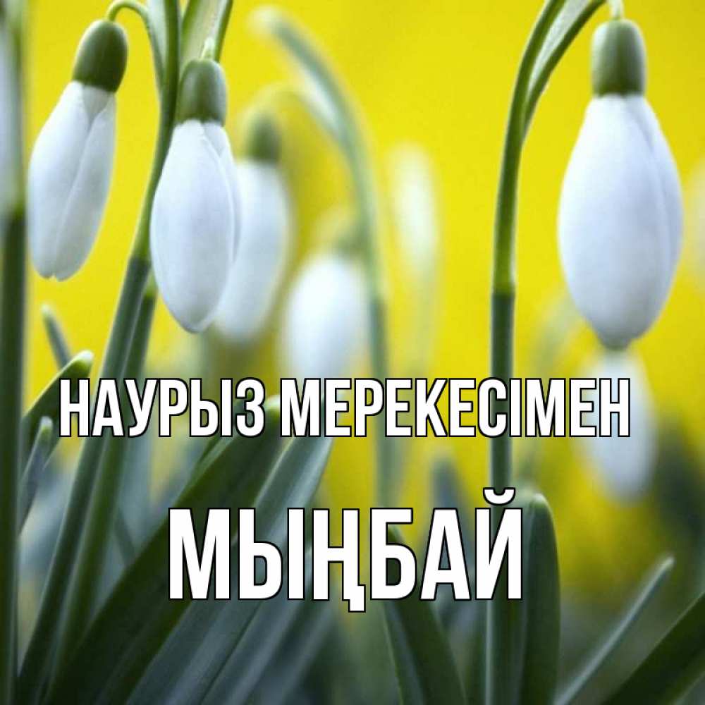 Күн сайын ашық хат с именем, МЫҢБАЙ Наурыз мерекесімен весенние цветы Онлайн тегін жүктеп алу тілектері бар керемет карта 