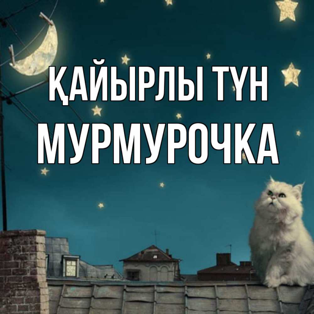 Күн сайын ашық хат с именем, Мурмурочка Қайырлы түн белый кот сидит на крыше Онлайн тегін жүктеп алу тілектері бар керемет карта 
