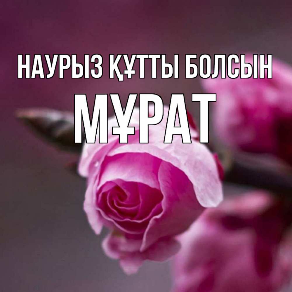 Күн сайын ашық хат с именем, МҰРАТ Наурыз құтты болсын весна Онлайн тегін жүктеп алу тілектері бар керемет карта 
