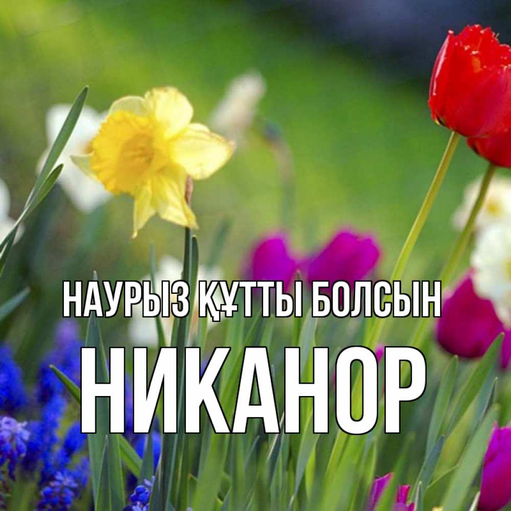 Күн сайын ашық хат с именем, Никанор Наурыз құтты болсын наурыз  3 открытки Онлайн тегін жүктеп алу тілектері бар керемет карта 