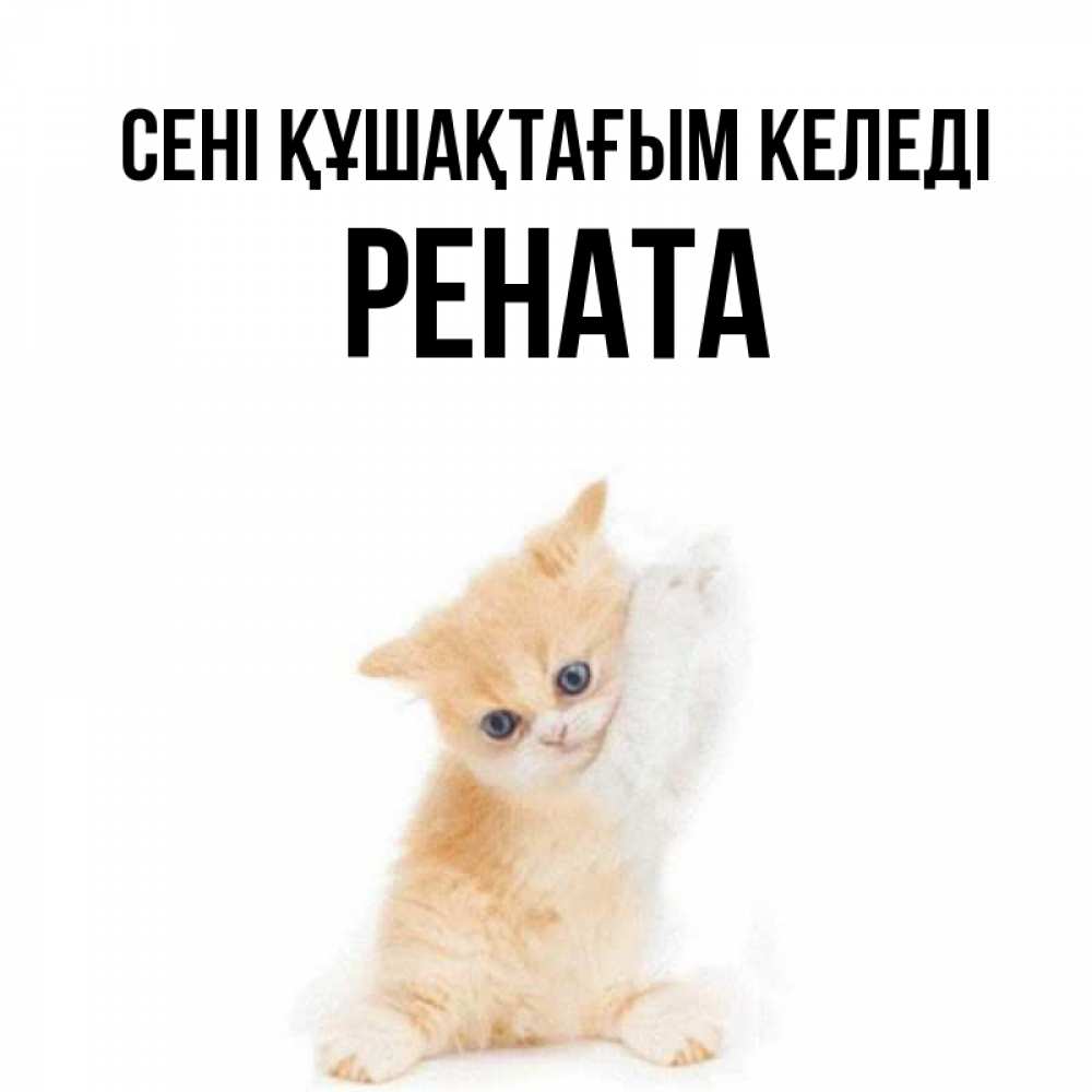 Күн сайын ашық хат с именем, Рената сені құшақтағым келеді я хочу очень скорее обнимаешек Онлайн тегін жүктеп алу тілектері бар керемет карта 