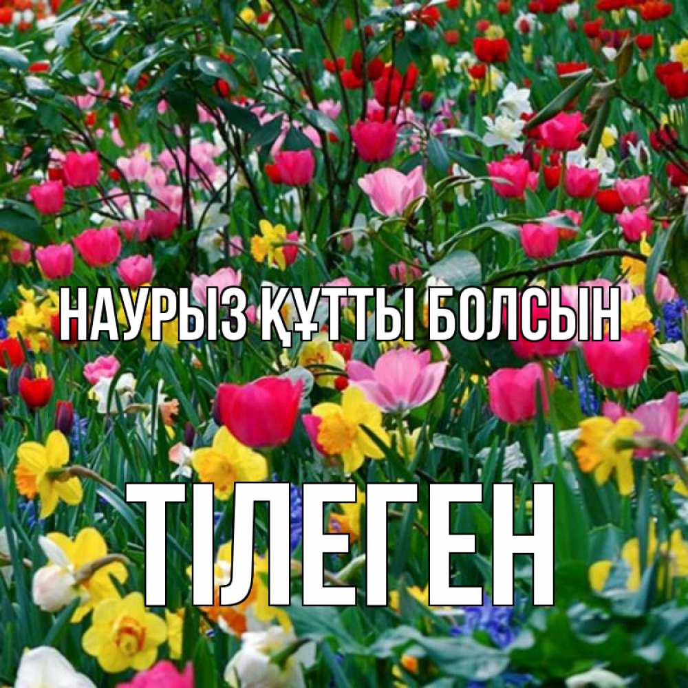 Күн сайын ашық хат с именем, ТІЛЕГЕН Наурыз құтты болсын с наурызом поздравления для женщины Онлайн тегін жүктеп алу тілектері бар керемет карта 