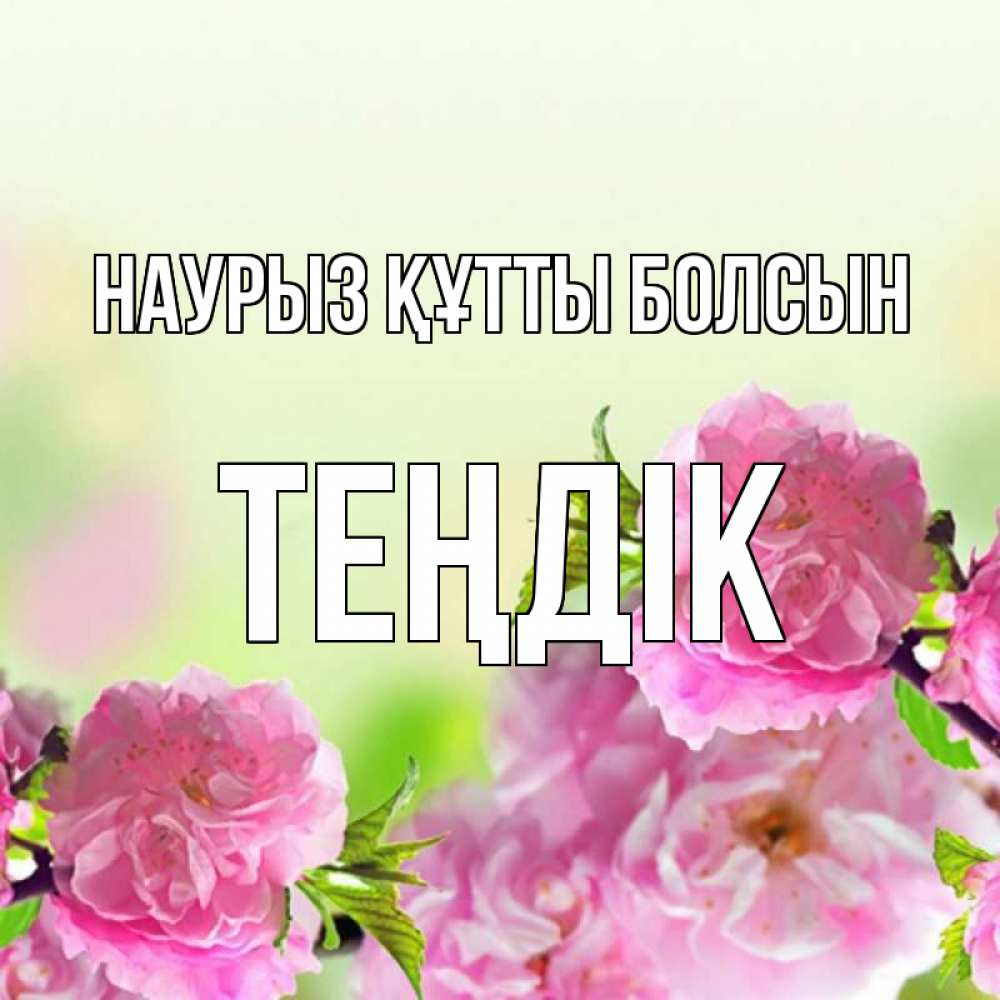 Күн сайын ашық хат с именем, ТЕҢДІК Наурыз құтты болсын цветы Онлайн тегін жүктеп алу тілектері бар керемет карта 