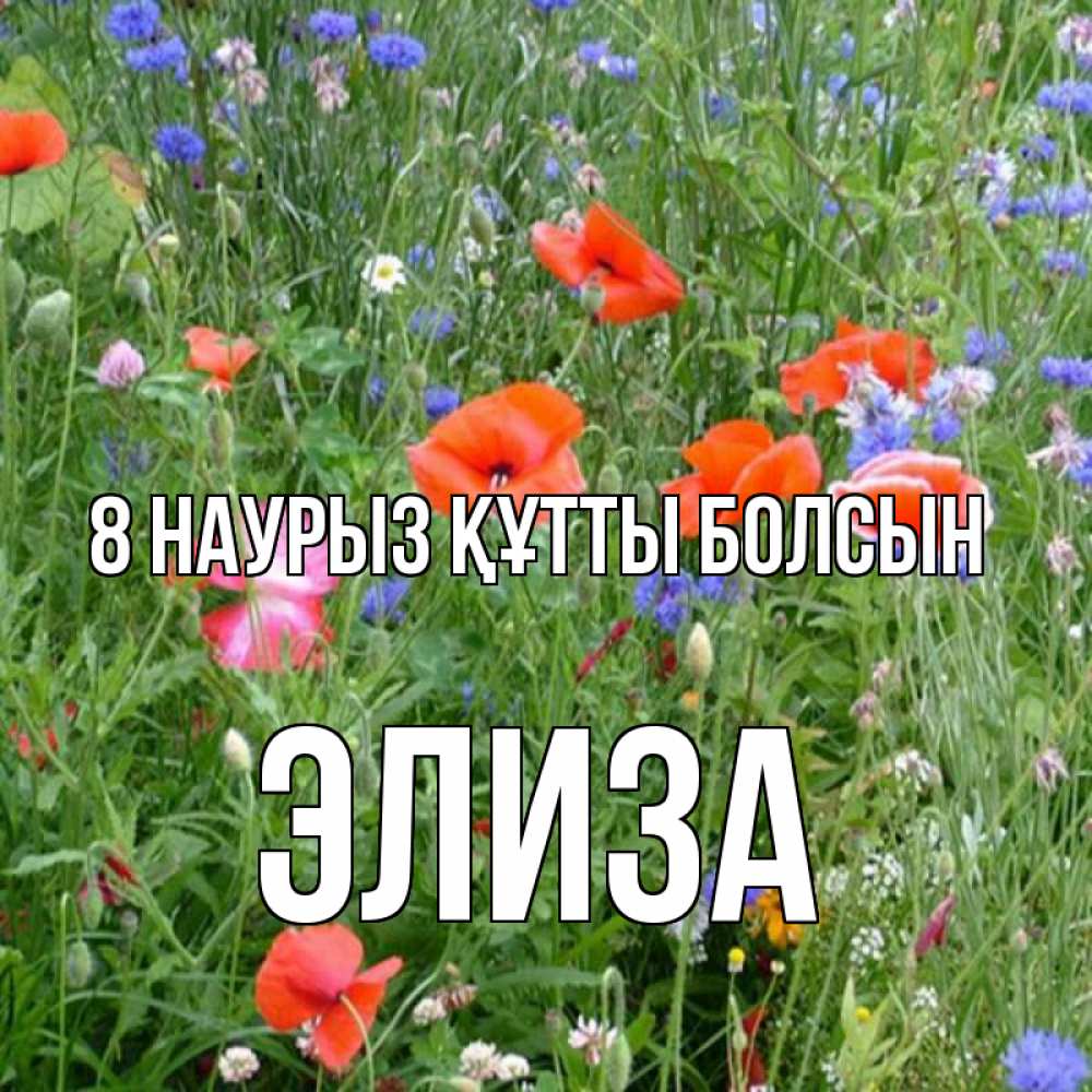 Күн сайын ашық хат с именем, Элиза 8 наурыз құтты болсын международный женский день 4 Онлайн тегін жүктеп алу тілектері бар керемет карта 