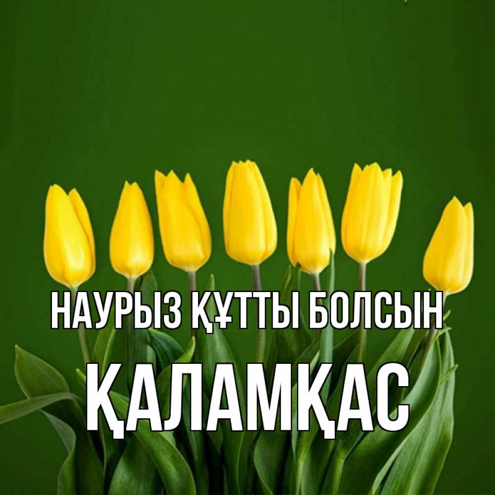 Күн сайын ашық хат с именем, ҚАЛАМҚАС Наурыз құтты болсын желтого цвета 3 Онлайн тегін жүктеп алу тілектері бар керемет карта 