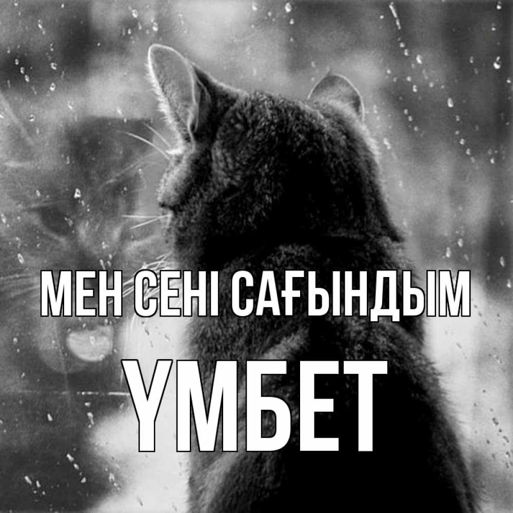Күн сайын ашық хат с именем, ҮМБЕТ Мен сені сағындым скорее ко мне приходи 1 Онлайн тегін жүктеп алу тілектері бар керемет карта 
