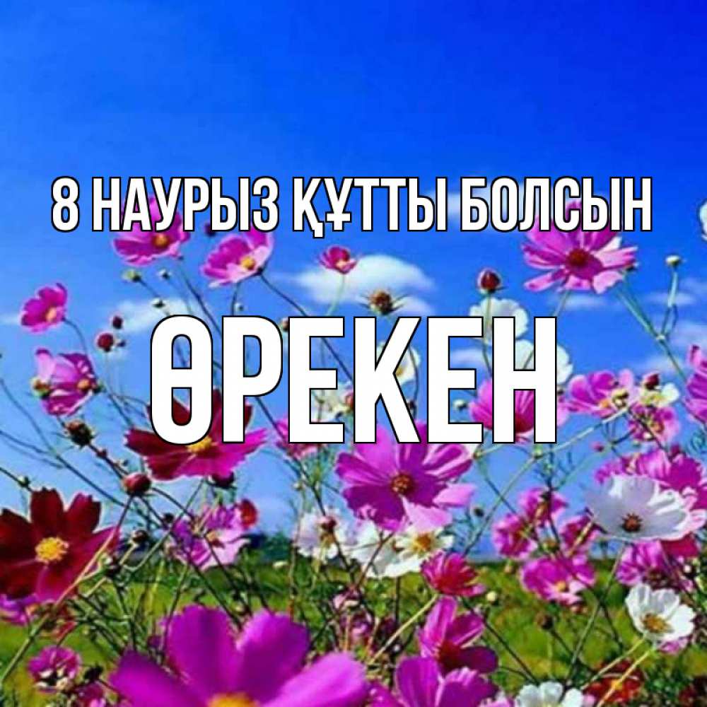 Күн сайын ашық хат с именем, ӨРЕКЕН 8 наурыз құтты болсын цветы Онлайн тегін жүктеп алу тілектері бар керемет карта 