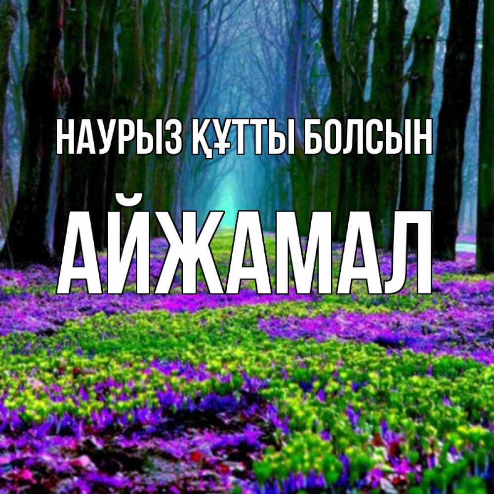 Күн сайын ашық хат с именем, АЙЖАМАЛ Наурыз құтты болсын фиолетовые цветы в лесу 1 Онлайн тегін жүктеп алу тілектері бар керемет карта 