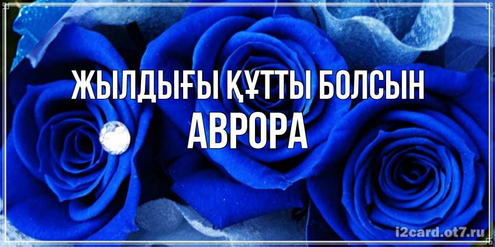 Күн сайын ашық хат с именем, Аврора Жылдығы құтты болсын синие розы в росе Онлайн тегін жүктеп алу тілектері бар керемет карта 