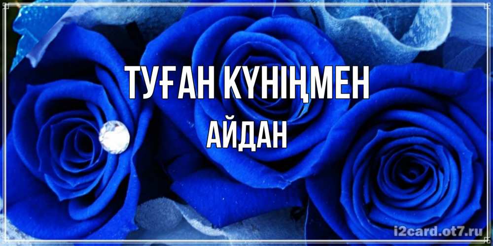 Күн сайын ашық хат с именем, Айдан Туған күніңмен синие розы в росе Онлайн тегін жүктеп алу тілектері бар керемет карта 