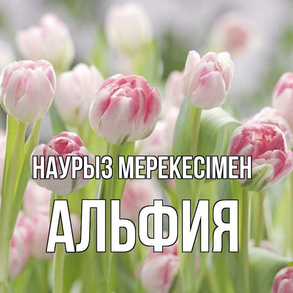 Күн сайын ашық хат с именем, Альфия Наурыз мерекесімен цветы Онлайн тегін жүктеп алу тілектері бар керемет карта 