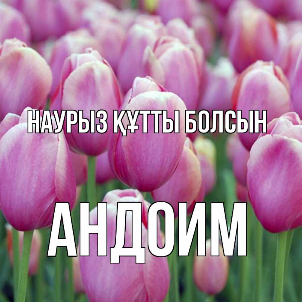 Күн сайын ашық хат с именем, Андоим Наурыз құтты болсын на наурыз  день 3 Онлайн тегін жүктеп алу тілектері бар керемет карта 