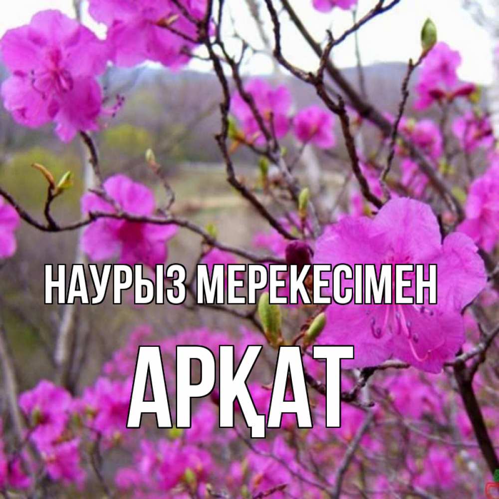 Күн сайын ашық хат с именем, Арқат Наурыз мерекесімен праздник весны наурыз Онлайн тегін жүктеп алу тілектері бар керемет карта 