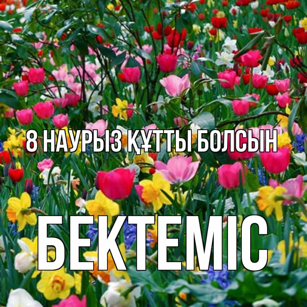 Күн сайын ашық хат с именем, Бектеміс 8 наурыз құтты болсын с международным женским днем поздравления для женщины Онлайн тегін жүктеп алу тілектері бар керемет карта 