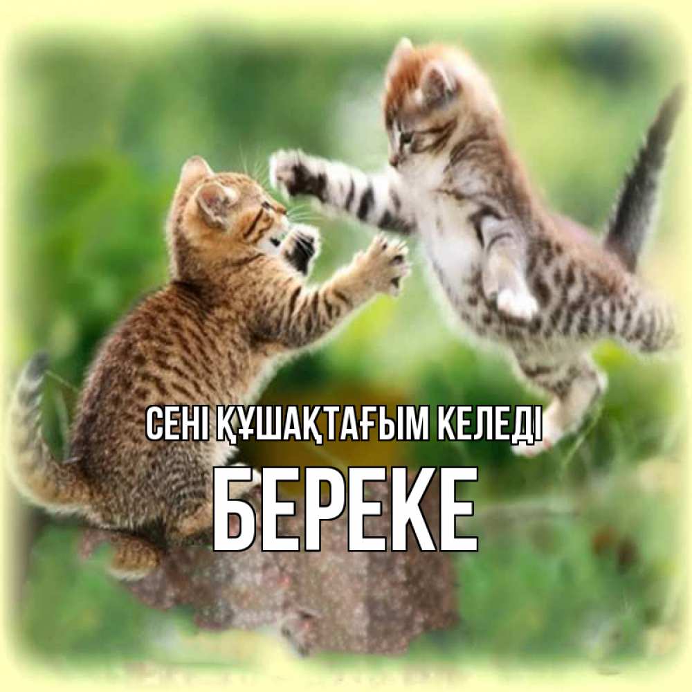 Күн сайын ашық хат с именем, Береке сені құшақтағым келеді игры котят Онлайн тегін жүктеп алу тілектері бар керемет карта 