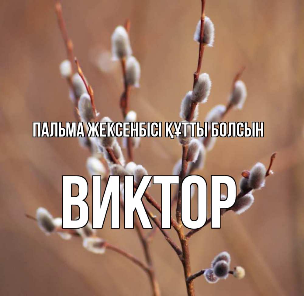 Күн сайын ашық хат с именем, Виктор Пальма жексенбісі құтты болсын верба Онлайн тегін жүктеп алу тілектері бар керемет карта 