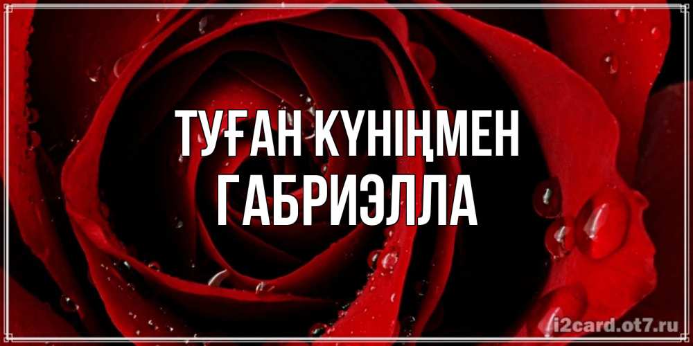 Күн сайын ашық хат с именем, Габриэлла Туған күніңмен крупная бордовая роза Онлайн тегін жүктеп алу тілектері бар керемет карта 